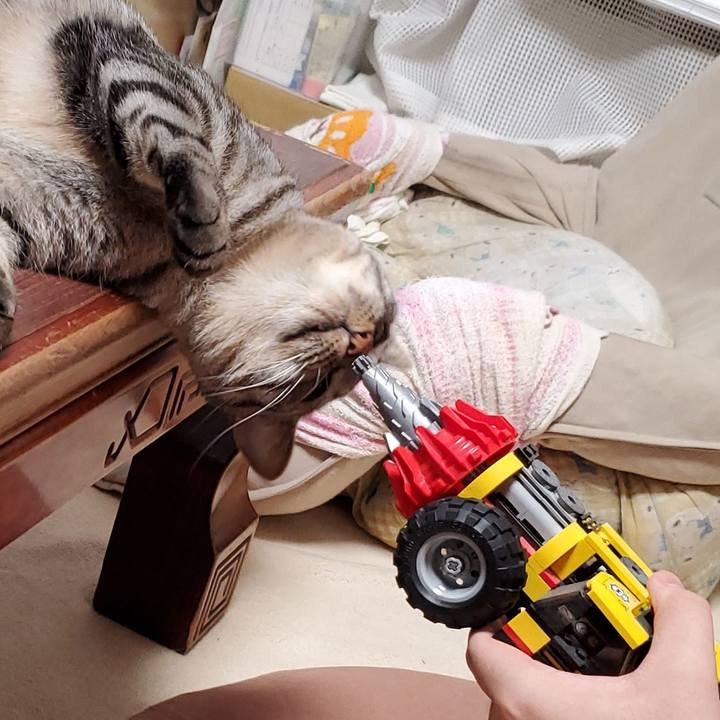 8d3473d7 9338 4cfe a191 82511a35ab89 1704003078992