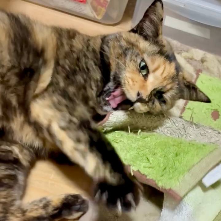 8d3474a8 07e6 412a b8ec 52c48f1c0f1b 1765573952550