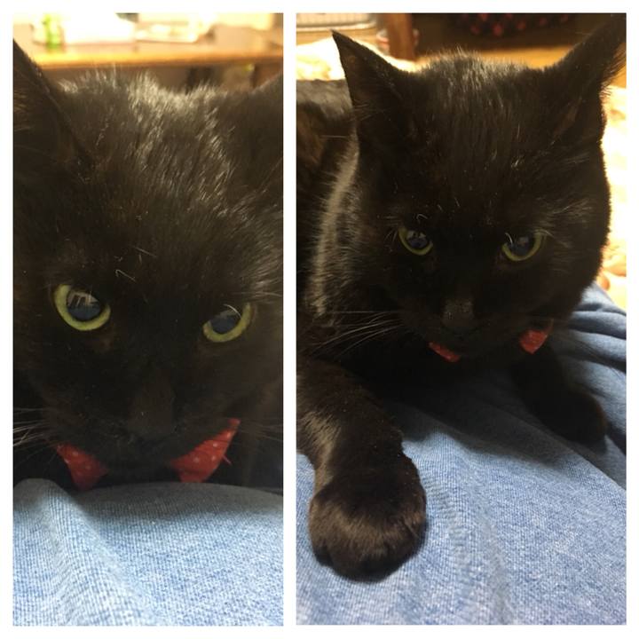 8d3483d3 f66d 4165 84b0 0f41b112284e 1548337379717