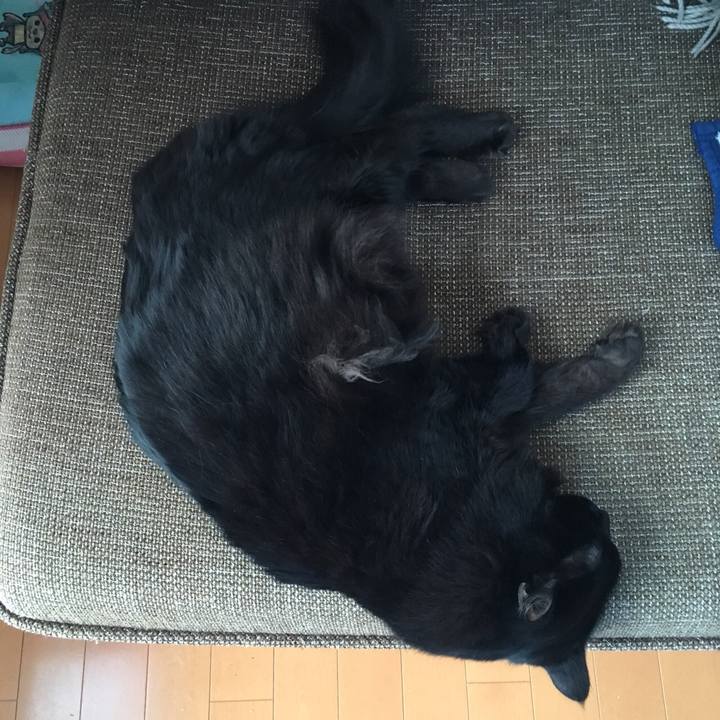 8d34a84f e4ea 4f52 bd10 2f2b9c779dc6 1514515371143