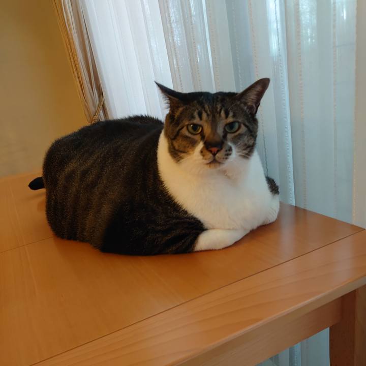 8d34d26d 01d3 411b 86c9 3c89d5db11d2 1592529410001