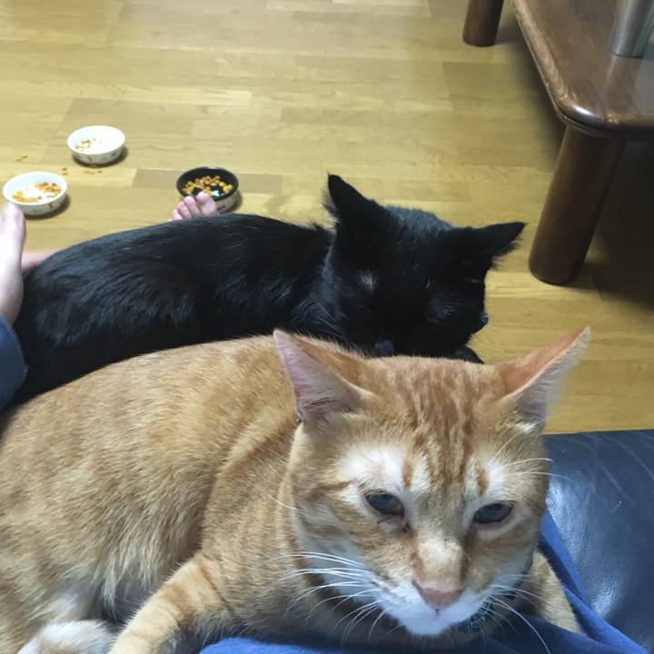 8d34e443 e650 4dd0 9be1 81039035d918 1536753850497