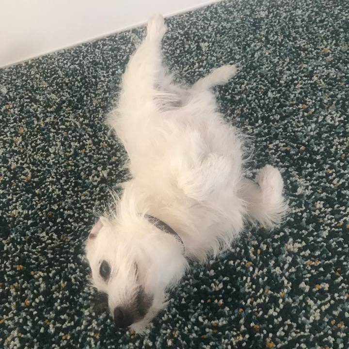 8d34e929 fa03 457c 81ae 54a92a383683 1529310016361