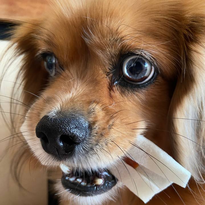 8d354159 7540 4d25 b833 7871fdeda1dd 1667007790839