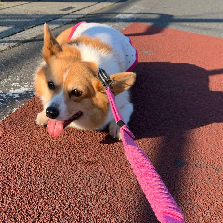 8d3561e5 181e 47da a3cc 2884903c2cb5 1592345765669