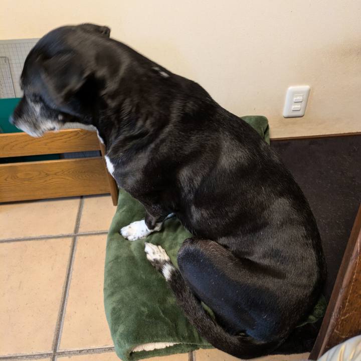 8d358697 321f 4c85 be59 b948b8101d88 1761217970670