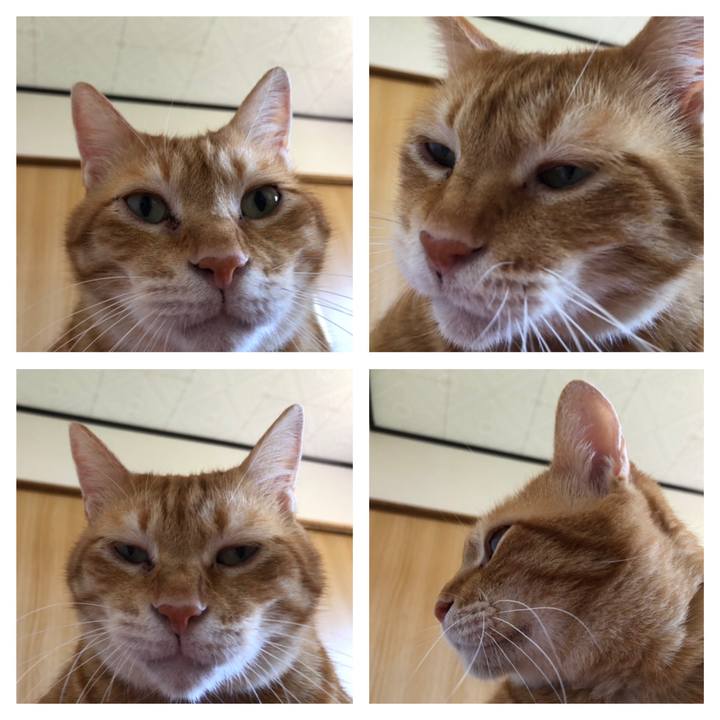 8d3593d6 407a 4607 b4f0 1ac23d489e53 1627304546267