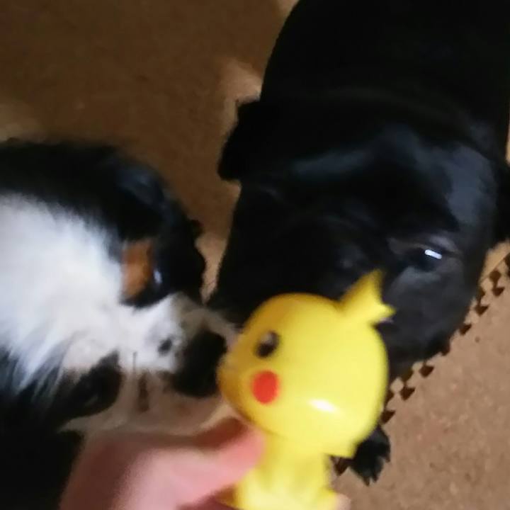 8d35a35d 0ae5 4d48 a056 b48d6f7eedee 1534395919598