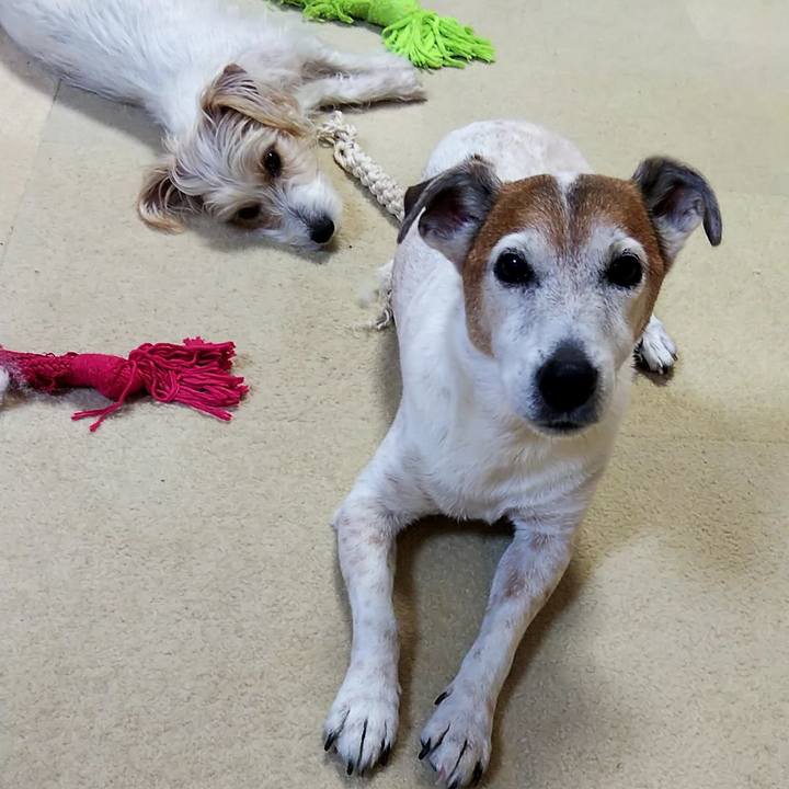 8d35caa7 cd03 4aa9 b2bf fc32b0a8aa47 1549635141942