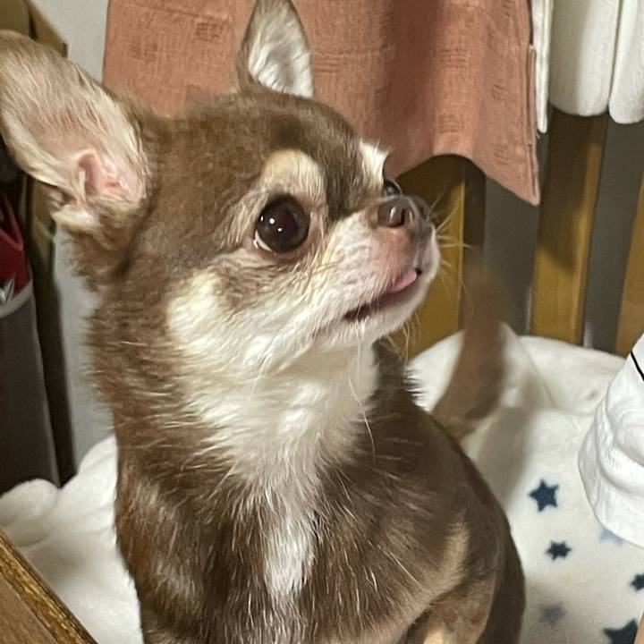 8d35e29c cc68 4c08 aa96 32da1173081d 1752930671571