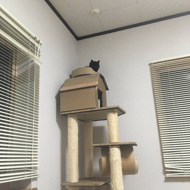 8d35e4d2 35da 428c 9aca fe2b4b07f332 1549360913526