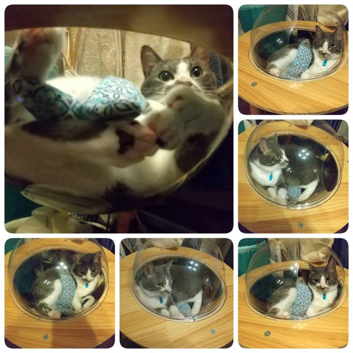 8d35f546 49a5 4ffc af79 01c417fd3bb5 1621595834206