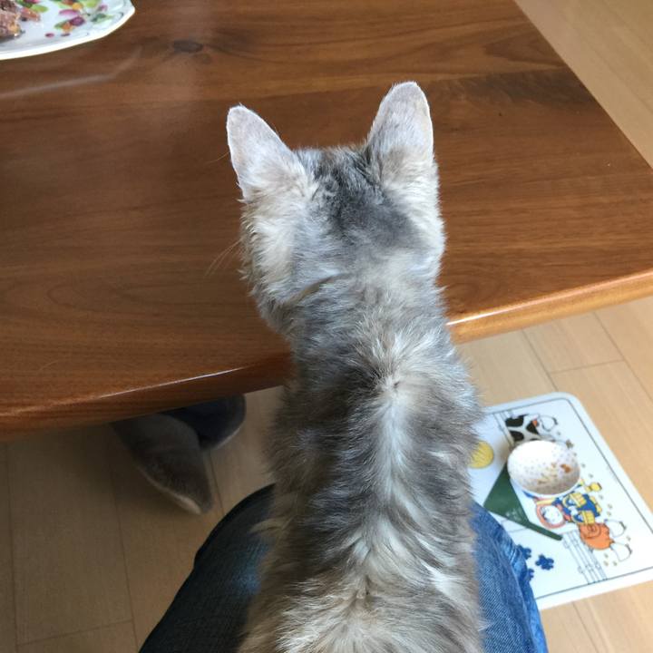 8d361154 f551 433f b5be d543e009d117 1578021579770