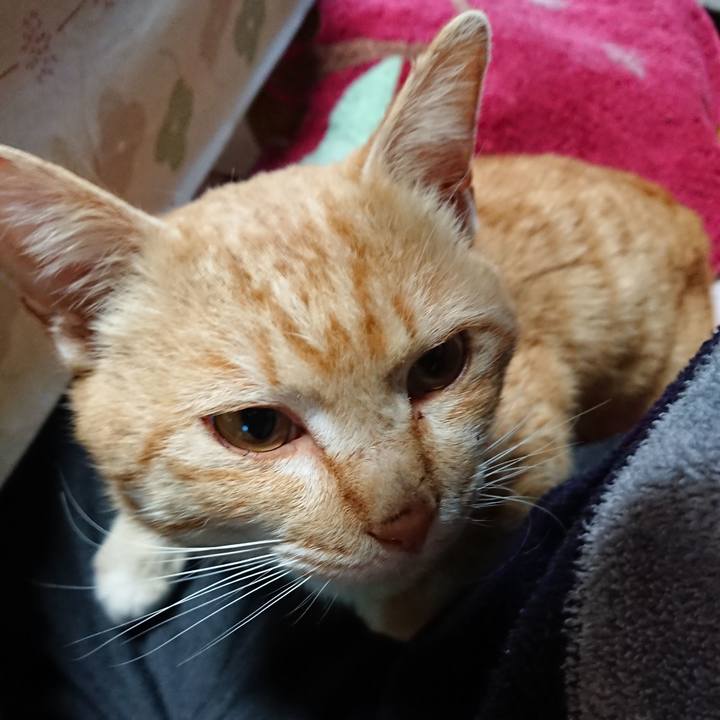 8d3673a2 0139 45ef bfd4 2d006eecfaf1 1555448109666