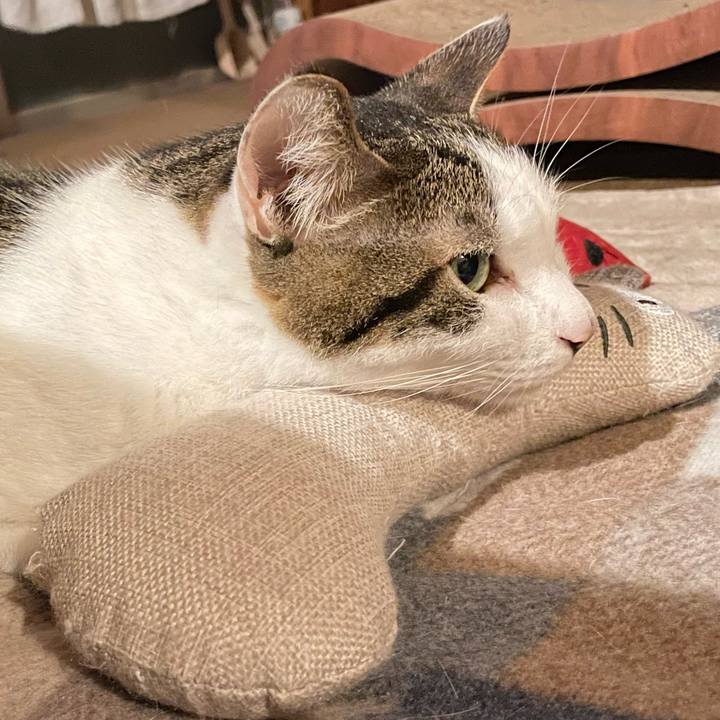 8d367cea 0f10 45e0 bba0 d17a16b05832 1772191174870