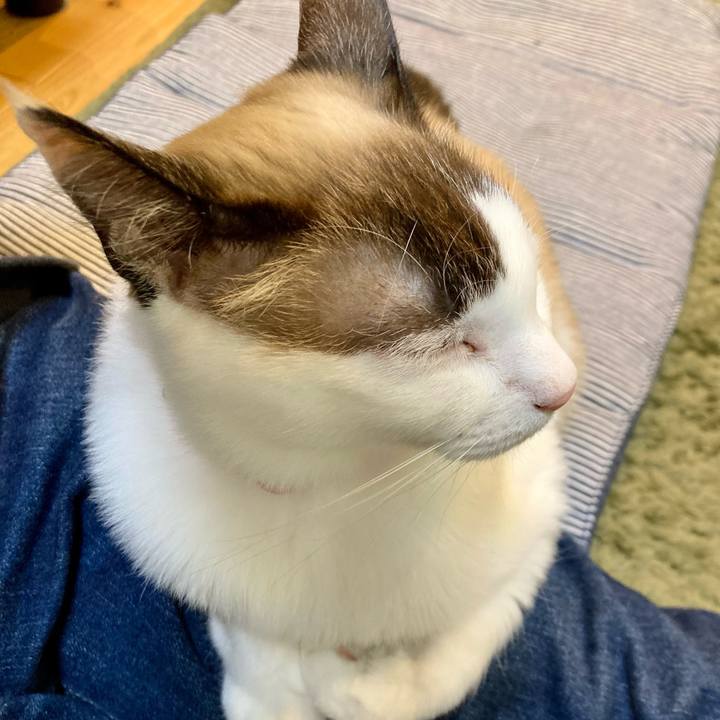 8d368e1a b21b 45af 9324 4e7d655a5c39 1639306437366