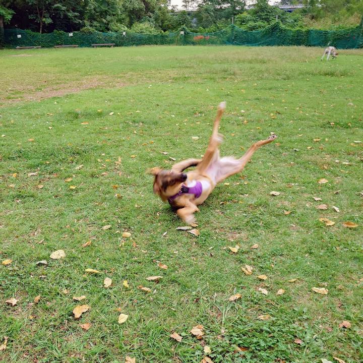 8d368e50 adfb 4888 8260 7dcf4abb2a33 1759022014207