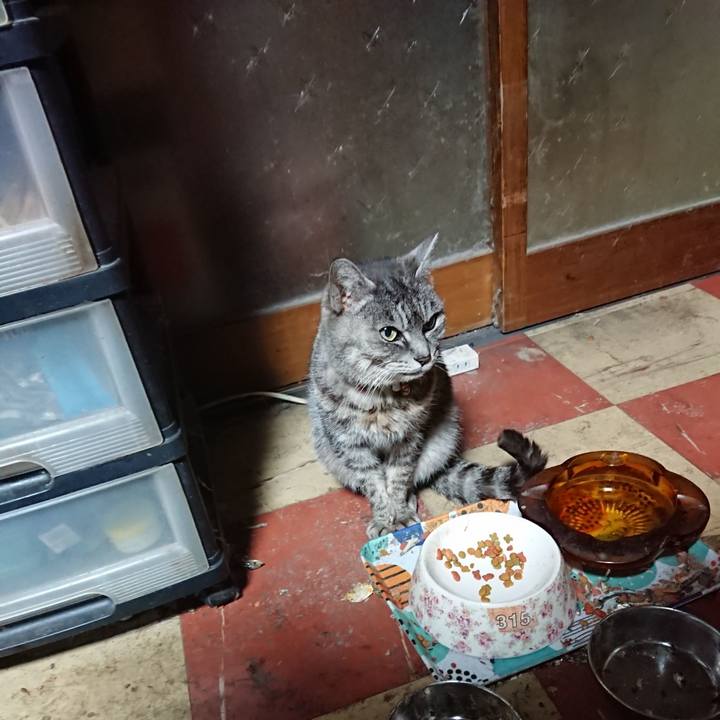 8d36c2b6 0670 449b 8e78 1f36e13cc55a 1582489357051