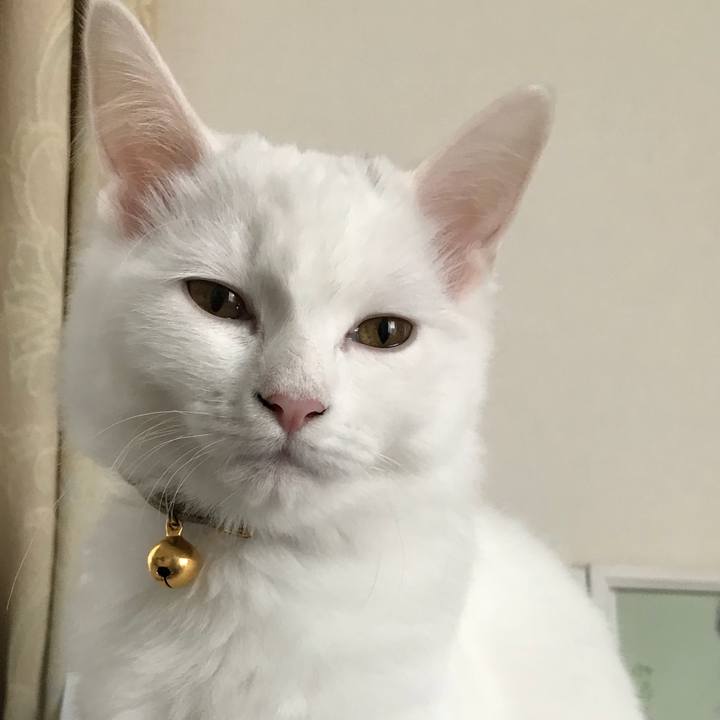 8d36e248 8993 4b0c 8b22 b0123e05eb07 1510618636455