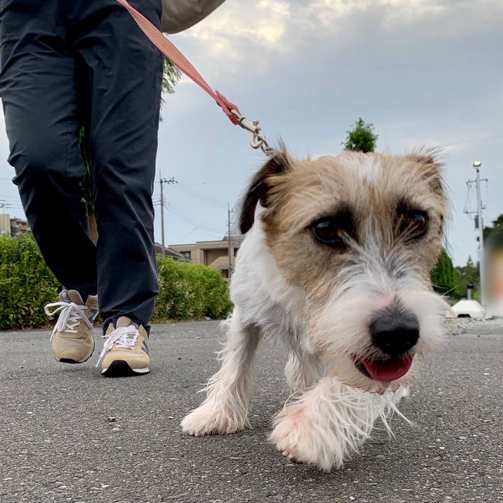 8d36e2e6 e3ee 4aa8 8dd6 6bf92cd4304f 1601716169584