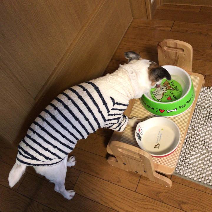 8d36eedc 0e89 445d 807b e814b29ac00f 1523097807278