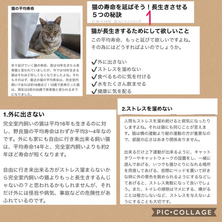 8d370b21 57bc 4180 a57d ee7ea66c2df7 1537017598505