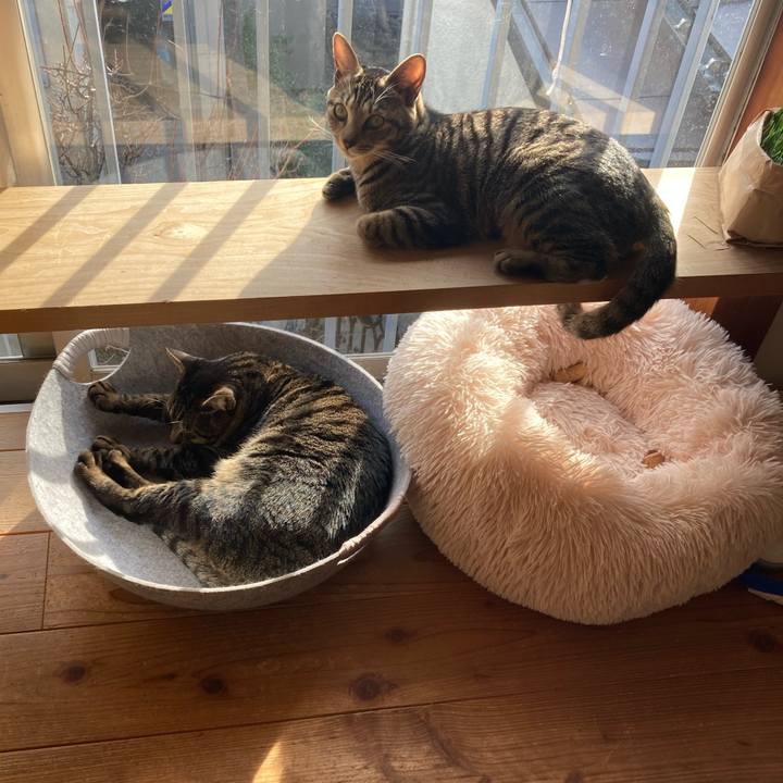 8d3733e9 3341 40b2 a8e1 fced09dfcd84 1674392751776