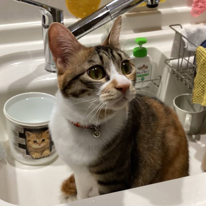 8d373fda 7a10 49b8 9ce0 92172936bb3c 1675410627260