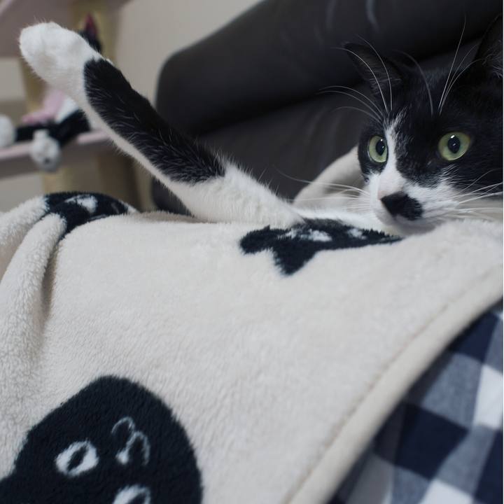 8d3781c4 10e3 4553 afa6 814eea47d5d5 1508028855170