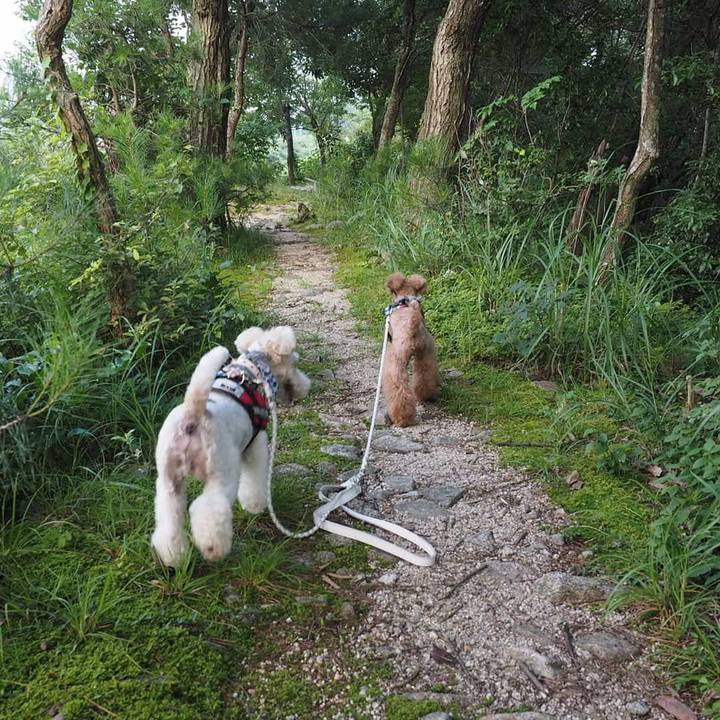 8d3799c6 3cf6 48fa bcd1 2d02a54bfbfe 1564404732126