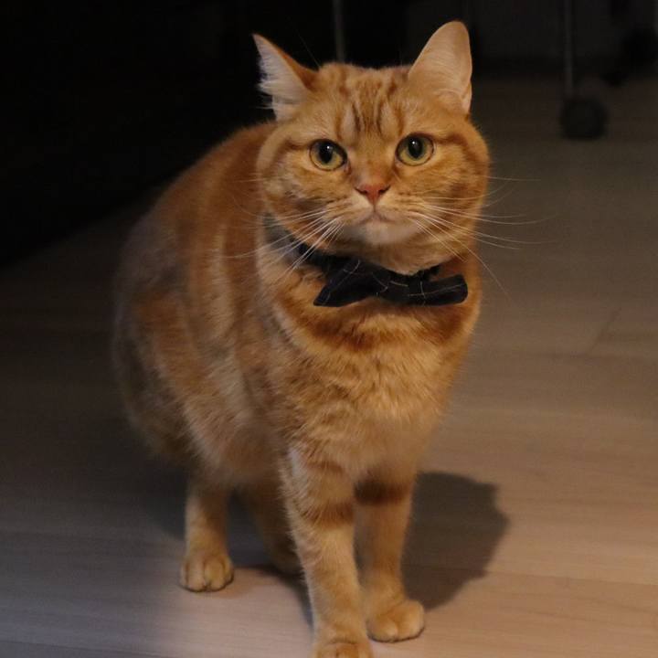 8d37b4b3 2eb7 48f0 9263 2e459322cc5a 1580860286204