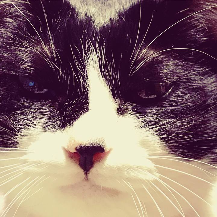 8d37e929 9679 4e4d a707 218fca9f20c5 1614077301704