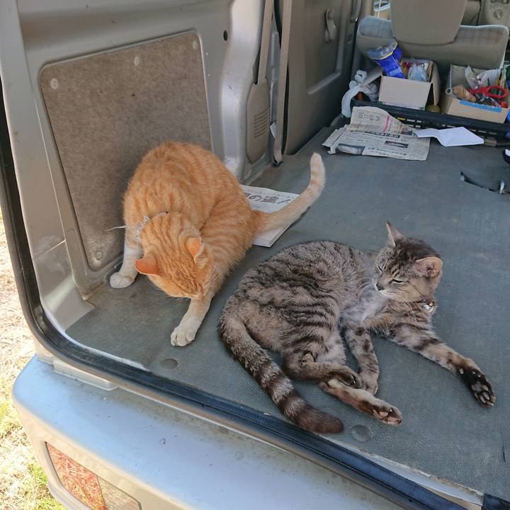 8d385774 3095 4f7f aee5 bdfb05a03c24 1591510933175