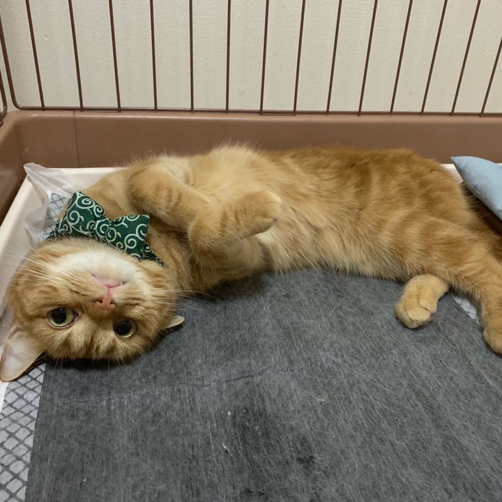 8d385b39 a1b1 49c1 ae15 2dcb128bedea 1562813762209