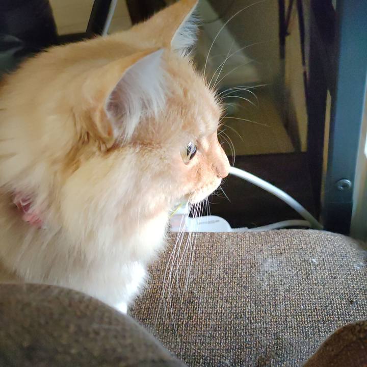 8d388959 13dd 406f 9cbb d2d634ff5d55 1666906728464