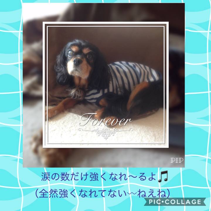 8d390cc1 eee2 49c3 a1cc 711b9bc26690 1535625540526