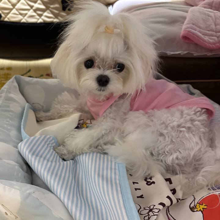 8d395c6b c819 4dbf 8151 8039a4cb1e76 1758687024255