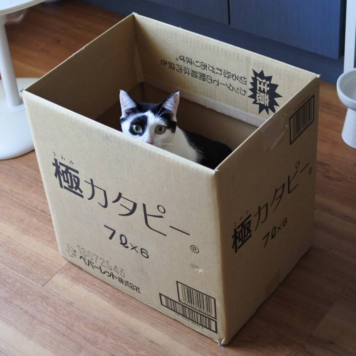 8d396cfc dbd6 424f 8058 1494a98a36c1 1535264138806