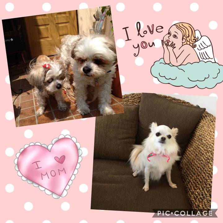 8d397931 7661 42de a3d0 6b4ed5d2b5b0 1537187434599