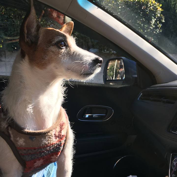 8d3982e0 a0db 4acd 8a69 2e28aff248fa 1581121918540