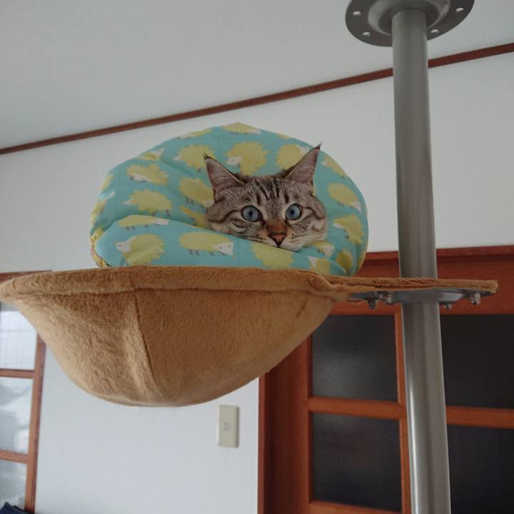 8d398ca2 0c01 462d 90c4 e4559e38fe16 1564285381179