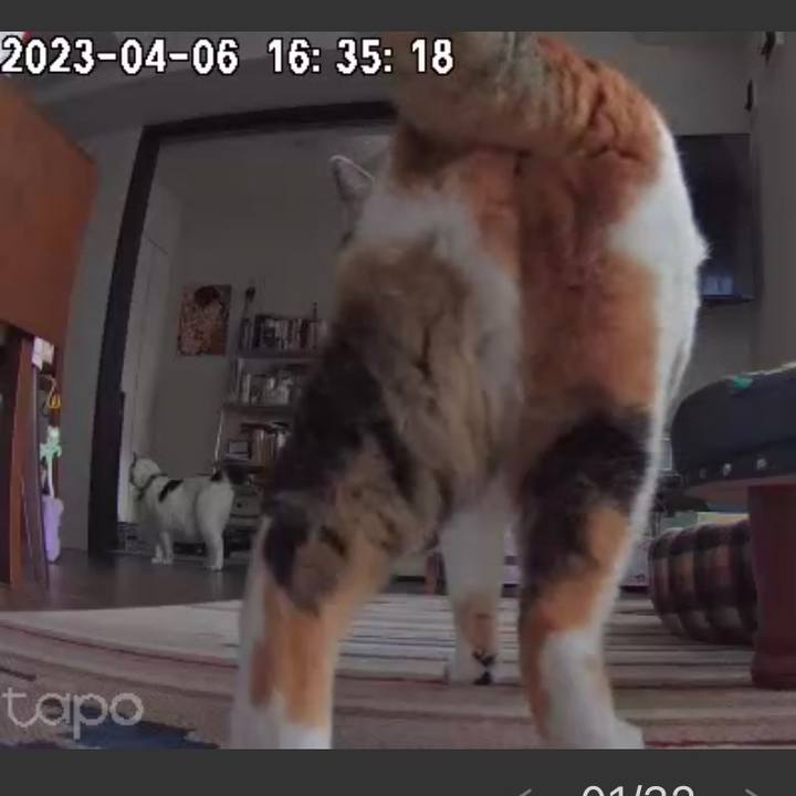 8d39afe2 2f4d 4598 8352 9424cac0096a 1680812000818