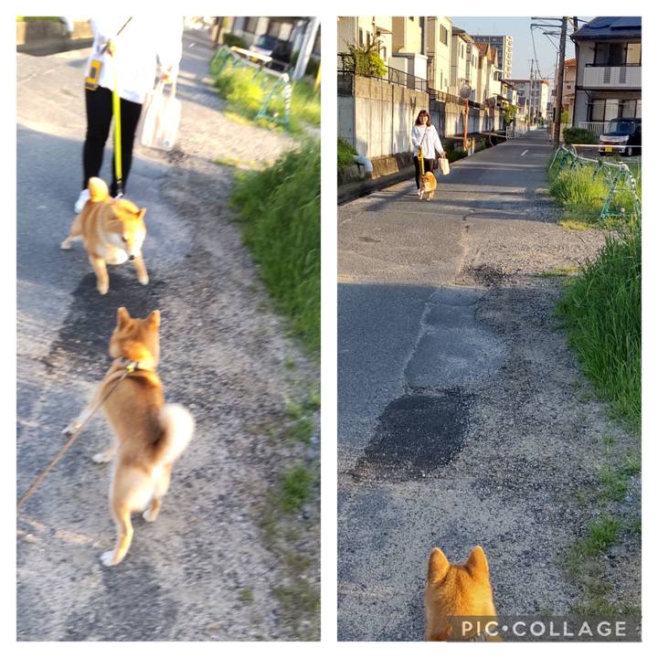 8d39b179 aa44 4e48 a41f 9bb904b0a030 1714772582533