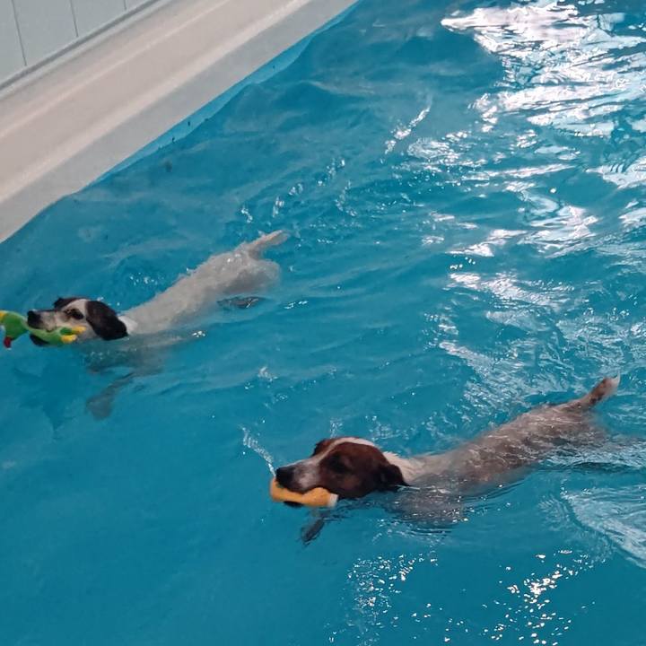 8d39ba16 03ad 4c38 bb52 05674d77e99b 1719737703670