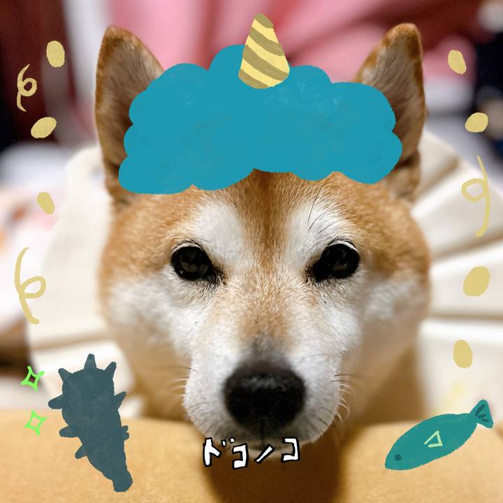 8d39bedb d991 4d82 8462 f01bd20dee49 1706832971295