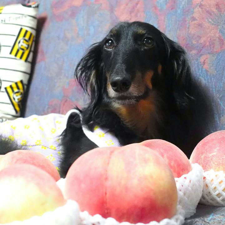 8d39d36f 5251 452d 9abf 7601605e8f90 1594788486517