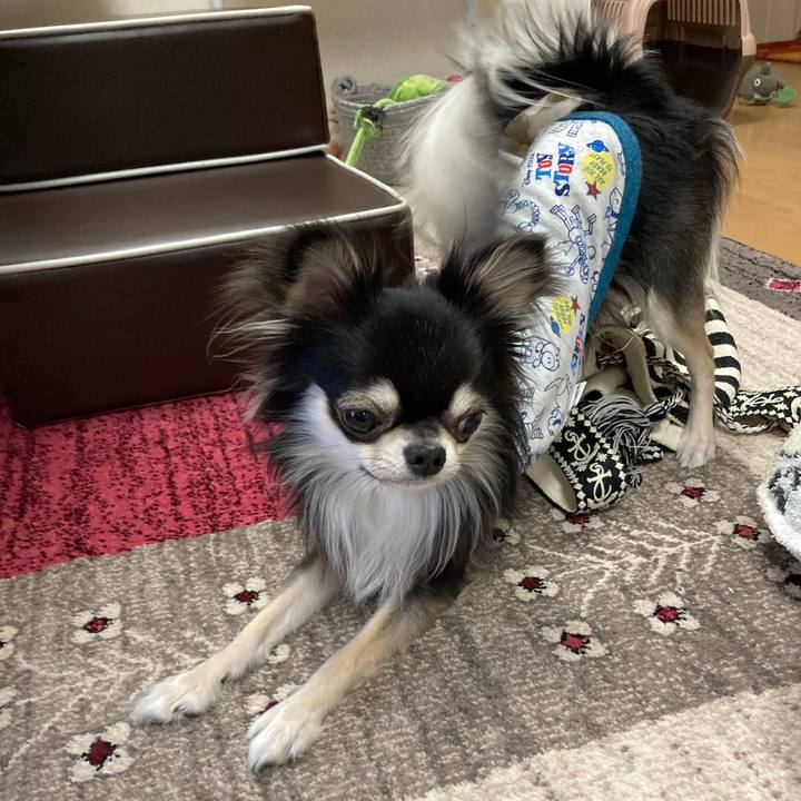 8d39ea56 257e 42c6 832c e4c88372557e 1618113410030