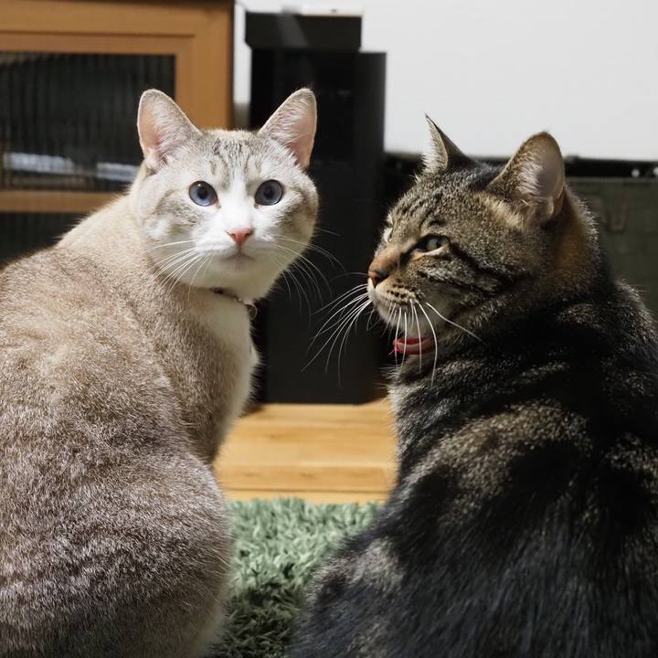 8d3a2f3b eb45 4bda 9c30 296d07f096c3 1604924605761