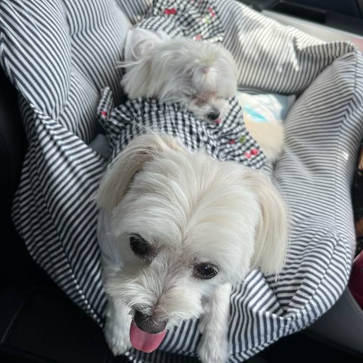 8d3a31ed d2dd 4e0f 925f 05e705054511 1726730119364