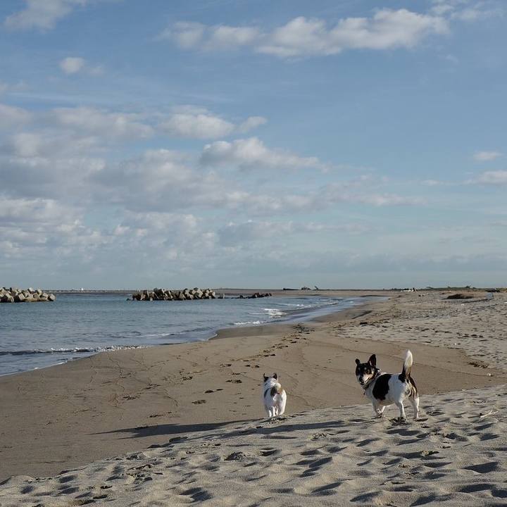 8d3a8a55 7bf2 4809 abc6 4e90bdd0294d 1539402928651